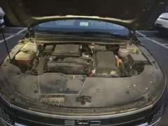 2023 BYD Destroyer 05 Champion DM-i PHEV 55km Luxury — фото 16