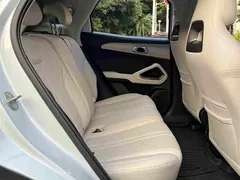 2024 BYD Yuan UP 401km Leading — фото 10