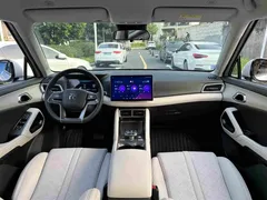 2024 BYD Yuan UP 401km Leading — фото 11