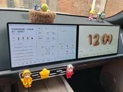 2025 Li Auto L9 Smart Refresh — фото 14