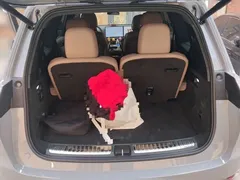 2025 Li Auto L9 Smart Refresh — фото 20