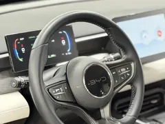 2025 BYD Seal 05 PHEV DM-i Smart Drive 55km Luxury — фото 21