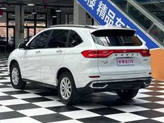 2023 Haval M6 Plus 1.5T DCT Luxury, белый — фото 4
