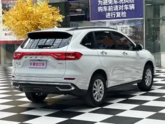 2023 Haval M6 Plus 1.5T DCT Luxury, белый — фото 6