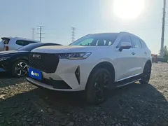 2021 Haval H6 3rd Gen 2.0T AT 2WD Max, белый — фото 1