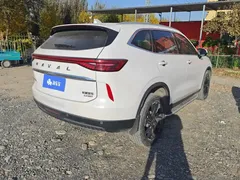 2021 Haval H6 3rd Gen 2.0T AT 2WD Max, белый — фото 3