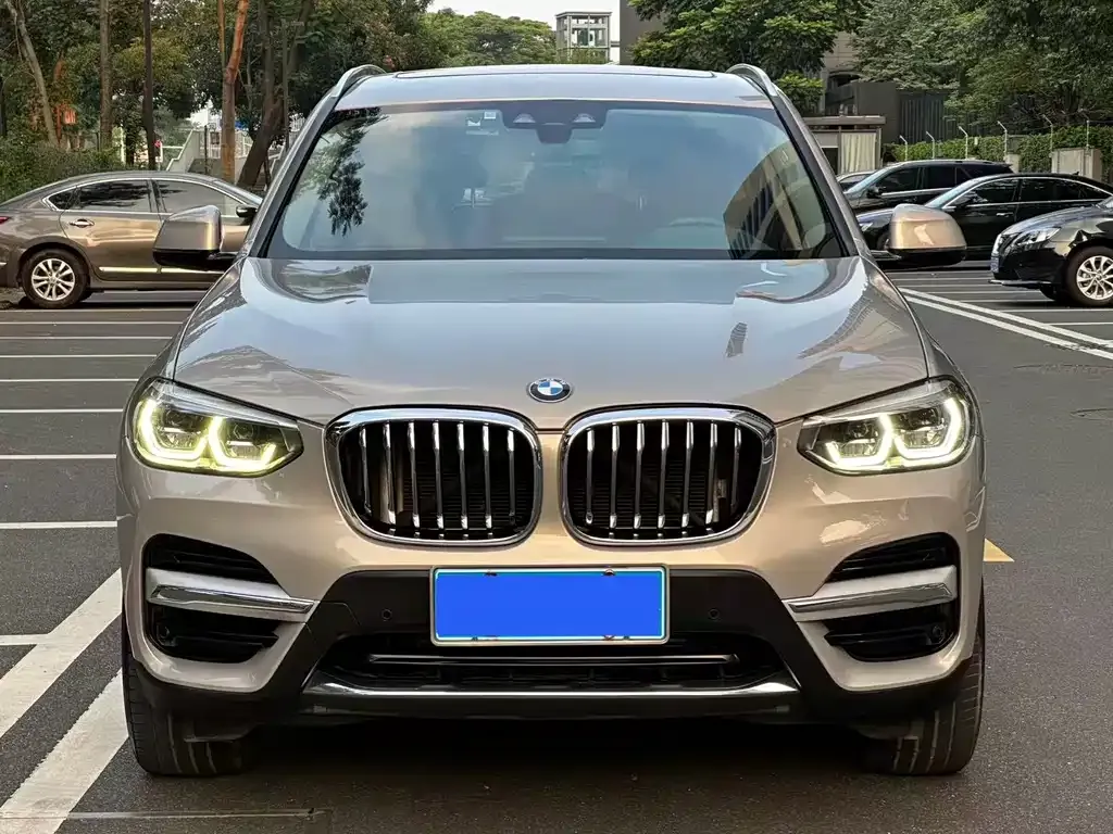 2021 BMW X3 Luxury Package
