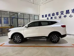 2021 Haval H6 1.5T AT Guochao Urban, белый — фото 7