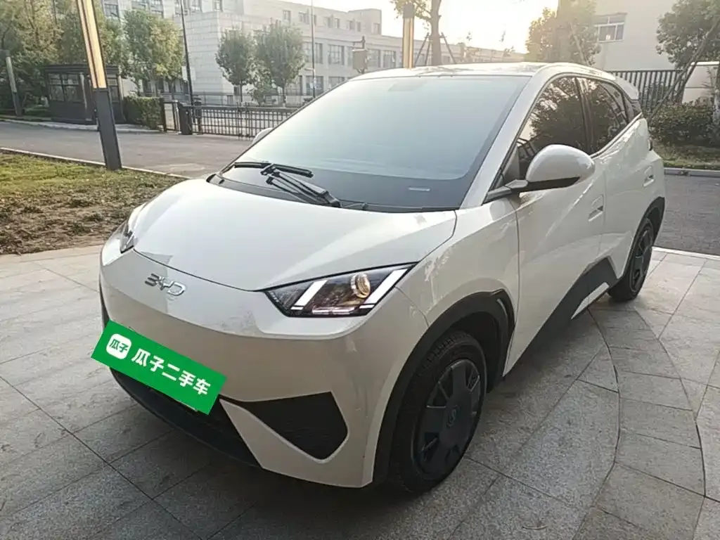 2025 BYD Seagull EV 305km