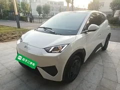 2025 BYD Seagull EV 305km, белый — фото 1