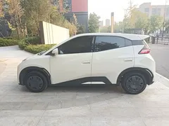 2025 BYD Seagull EV 305km, белый — фото 26