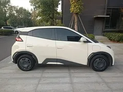 2025 BYD Seagull EV 305km, белый — фото 27