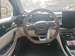 2024 BYD Qin PLUS Honor DM-i PHEV 55km Leading — фото 6