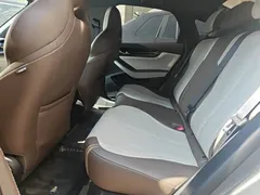 2024 BYD Qin PLUS Honor DM-i PHEV 55km Leading — фото 13