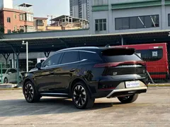 2024 BYD Tang DM-p PHEV 215km 4WD Flagship Honor Edition, чёрный — фото 6