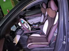 2021 Geely Monjaro 2.0TD High Power AT 4WD Flagship — фото 16