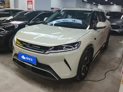 2025 BYD Yuan UP Smart Driving 401km, зелёный — фото 1