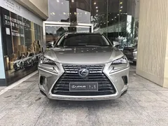 2020 Lexus NX 300h 2WD Fashion — фото 1