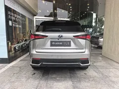 2020 Lexus NX 300h 2WD Fashion — фото 5