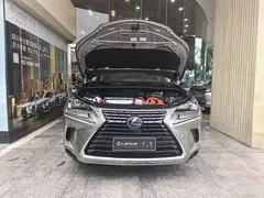 2020 Lexus NX 300h 2WD Fashion — фото 6