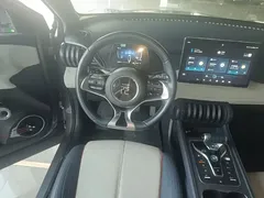 2022 BYD Yuan PLUS 510km Premium — фото 11