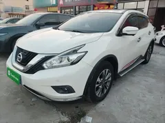 2021 Nissan Murano 2.5L XL 2WD Luxury, белый — фото 1