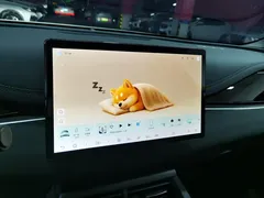 2025 BYD Seal 06 DM-i PHEV Smart Driving 80km Luxury, белый — фото 13