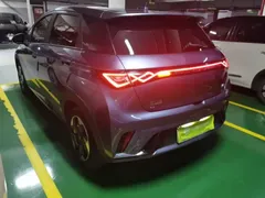 2024 BYD Dolphin Honor 420km Fashion — фото 5