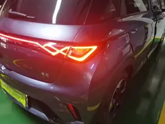 2024 BYD Dolphin Honor 420km Fashion — фото 8
