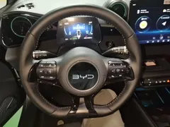 2024 BYD Dolphin Honor 420km Fashion — фото 11