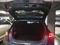 2024 BYD Dolphin Honor 420km Fashion — фото 19