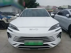 2025 BYD Song PLUS DM-i PHEV 112KM Smart Driving Premium, белый — фото 3