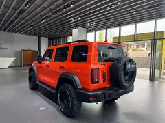 2021 Tank 300 Off-road 2.0T Conqueror — фото 4