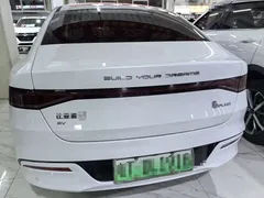 2024 BYD Qin PLUS Honor EV 510km Leading, белый — фото 5