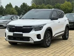 2023 Kia Seltos 1.5L CVT Luxury, белый — фото 1