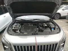 2024 Hongqi H5 2.0T AT Smart Connect Qichang — фото 20