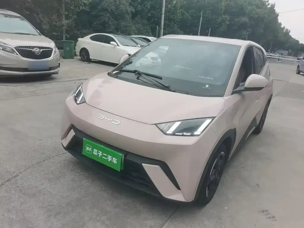 2023 BYD Seagull Freedom