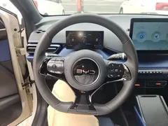2025 BYD Seagull 305km Vitality, белый — фото 11