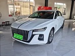 2023 Hongqi H5 1.5T DCT Zhilian Qiyun, белый — фото 2
