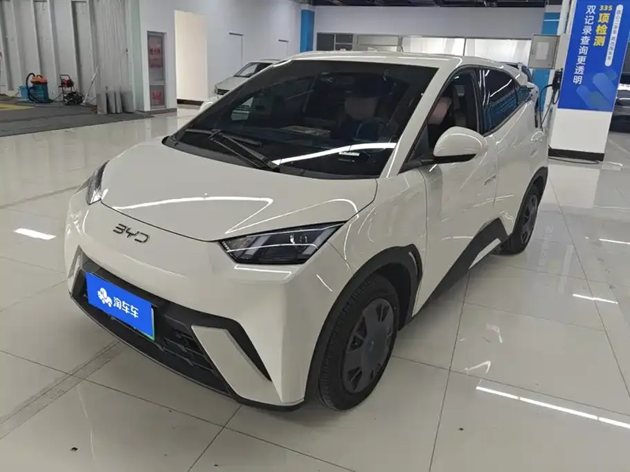 2025 BYD Seagull 305km Vitality