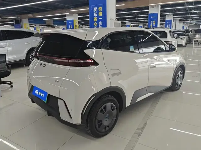 2025 BYD Seagull 305km Vitality