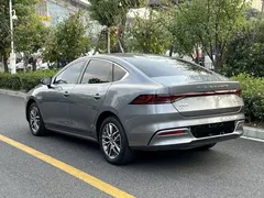 2023 BYD Qin PLUS Champion EV 510km Leading — фото 4