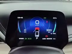 2024 BYD Yuan PLUS Honor 510KM Leading — фото 12