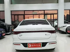 2023 BYD Qin PLUS Champion DM-i PHEV 55km Exceed, белый — фото 10