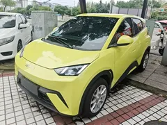 2023 BYD Seagull Flying — фото 1