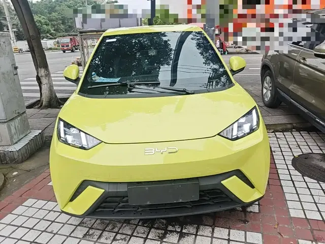2023 BYD Seagull Flying