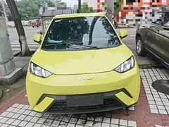 2023 BYD Seagull Flying — фото 3