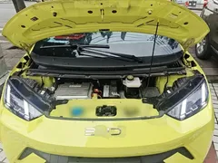 2023 BYD Seagull Flying — фото 20