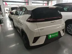 2025 BYD Seagull EV 305km, белый — фото 5