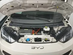 2025 BYD Seagull EV 305km, белый — фото 20